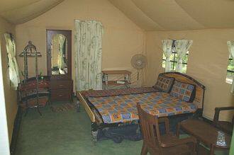 Deep Jungle Polo Cottage, Hyderabad 2